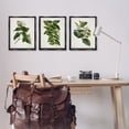 thumbnail image 3 of Stupell Industries Vintage Forest Flower Studies Plants & Flowers Painting Black Floater Framed Canvas Art Print Wall Art, 17 x 21, Set of 3, 3 of 10