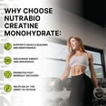 thumbnail image 4 of NutraBio Pure Creatine Monohydrate Powder Supplement, Unflavored, (500g) - Supports Bulk Muscle Energy, Recovery, and Strength - for Men and Women, 4 of 9