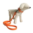 thumbnail image 3 of Dog Training Leash Made for Puppy, Medium, and Large Dog, 3 of 5