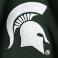 thumbnail image 2 of Girls Youth Green Michigan State Spartans Two-Piece Cheer Set, 2 of 2
