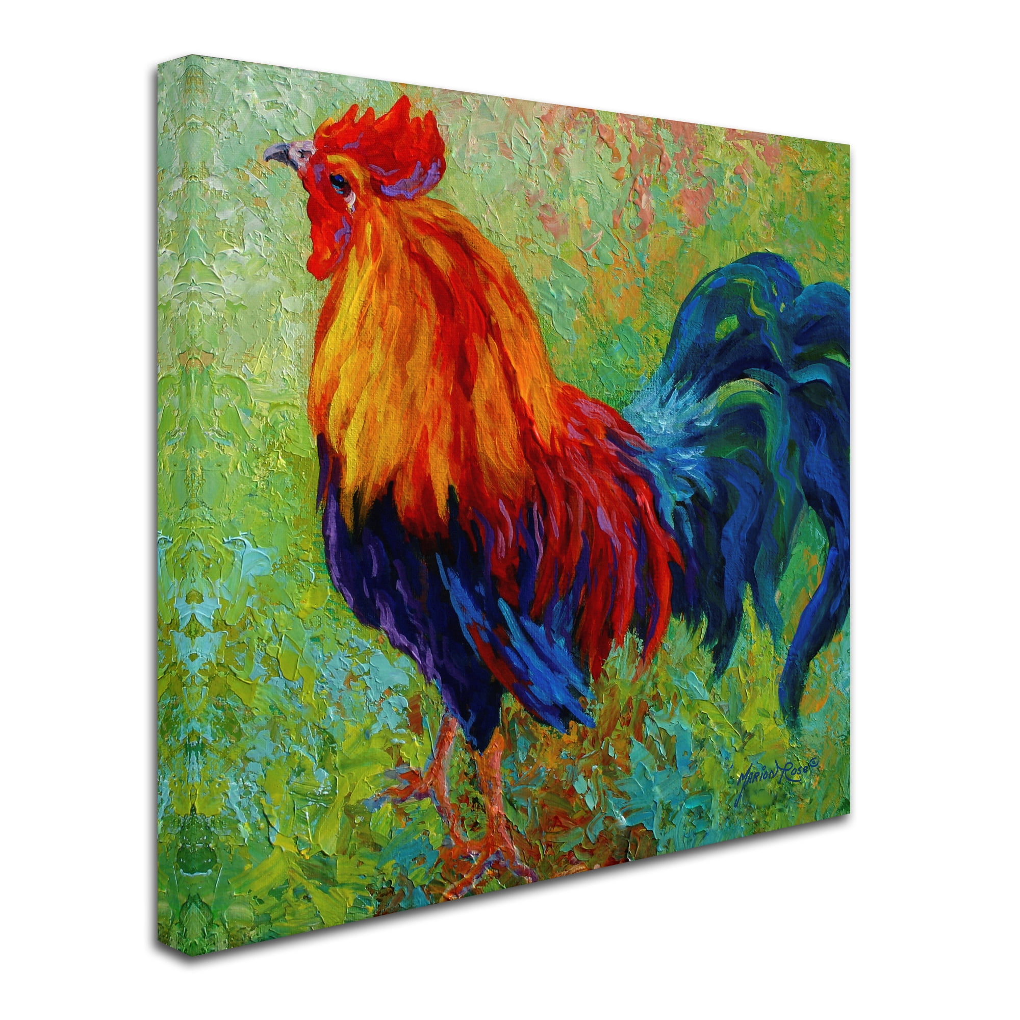 Trademark Fine Art 'Band Of Gold Rooster' Canvas Art by Marion Rose