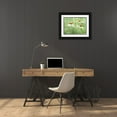 thumbnail image 3 of Clema 14x12 Black Ornate Wood Framed with Double Matting Museum Art Print Titled - Echinacea two, 3 of 4