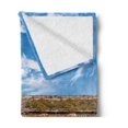 thumbnail image 2 of Brick Wall Soft Flannel Fleece Throw Blanket, Horizontal Brick Wall Field Dramatic Achitecture Landmark Urban Print, Cozy Plush for Indoor and Outdoor Use, 50" x 60", Red Green, by Ambesonne, 2 of 5