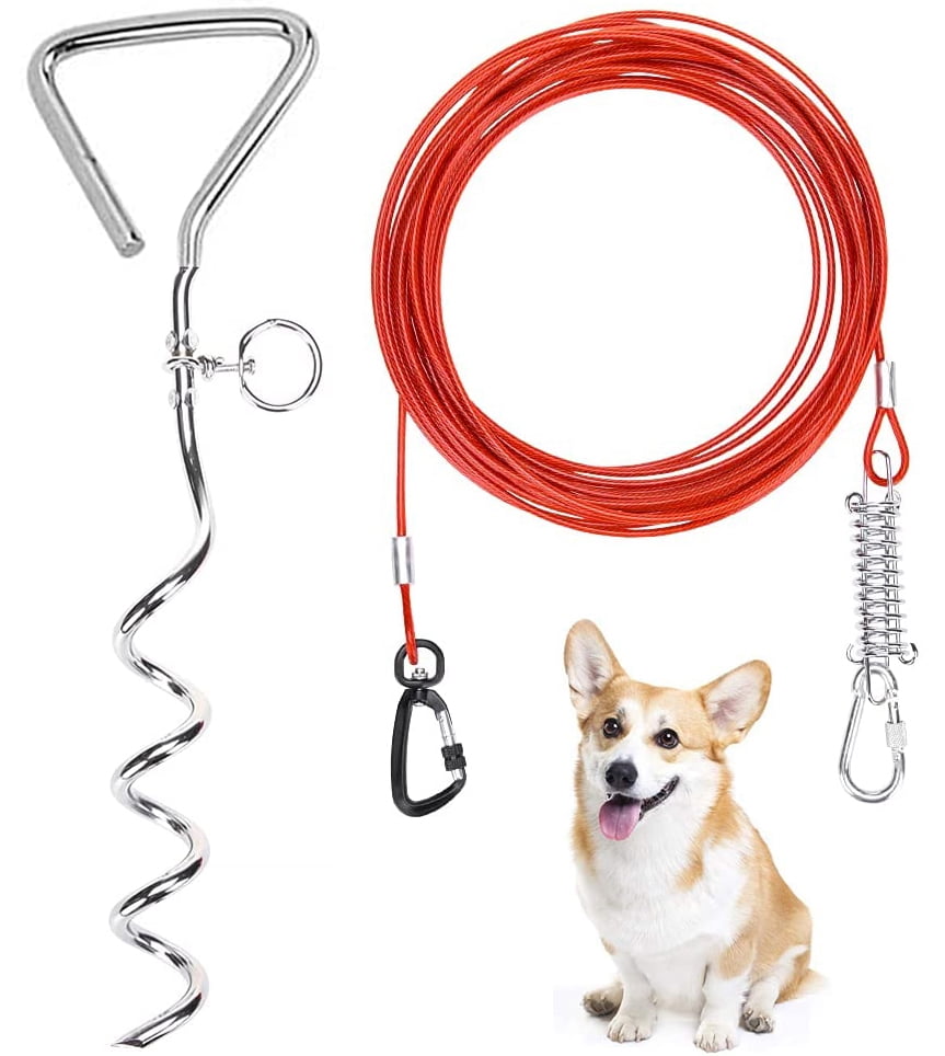 Are Dog Tie Outs Safe For Dogs