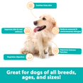 thumbnail image 2 of Suplemento RestoraPet Allergy, Picazón e Inmunología para perros, 2 of 8