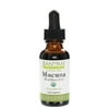 Banyan Botanicals Mucuna Pruriens – Organic Liquid Extract – Energizing, Supports Healthy Nervous & Reproductive Systems* – Natural Source of L-Dopa – 1 fl oz – Non-GMO Sustainably Sourced Vegan