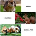 thumbnail image 2 of Toys Hamsters Adorable Rat Bed Delicate Rat Bed Cage Rat Bed Miniature Bed Daily Use Chinchilla Toy Lovely Hamster Bed, 2 of 2