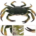 thumbnail image 4 of SHISUYAN 1Pcs Simulation Crab For Cognitive Development And Imaginative Ability Cultivation, 4 of 8