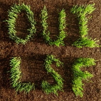 Les Savy Fav - Oui Lsf - Music & Performance - CD