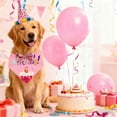 thumbnail image 4 of Dog Birthday Party Supplies, Dog Birthday Bandana Hat Bow Set for Dogs and Cats Pink L, 4 of 4