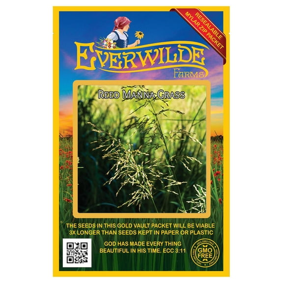 Everwilde Farms - 1000 Reed Manna Grass Native Grass Seeds - Gold Vault Seed Packet