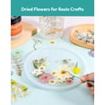 thumbnail image 3 of Kit de 100 piezas para manualidades naturales prensadas con flores secas, 3 of 9