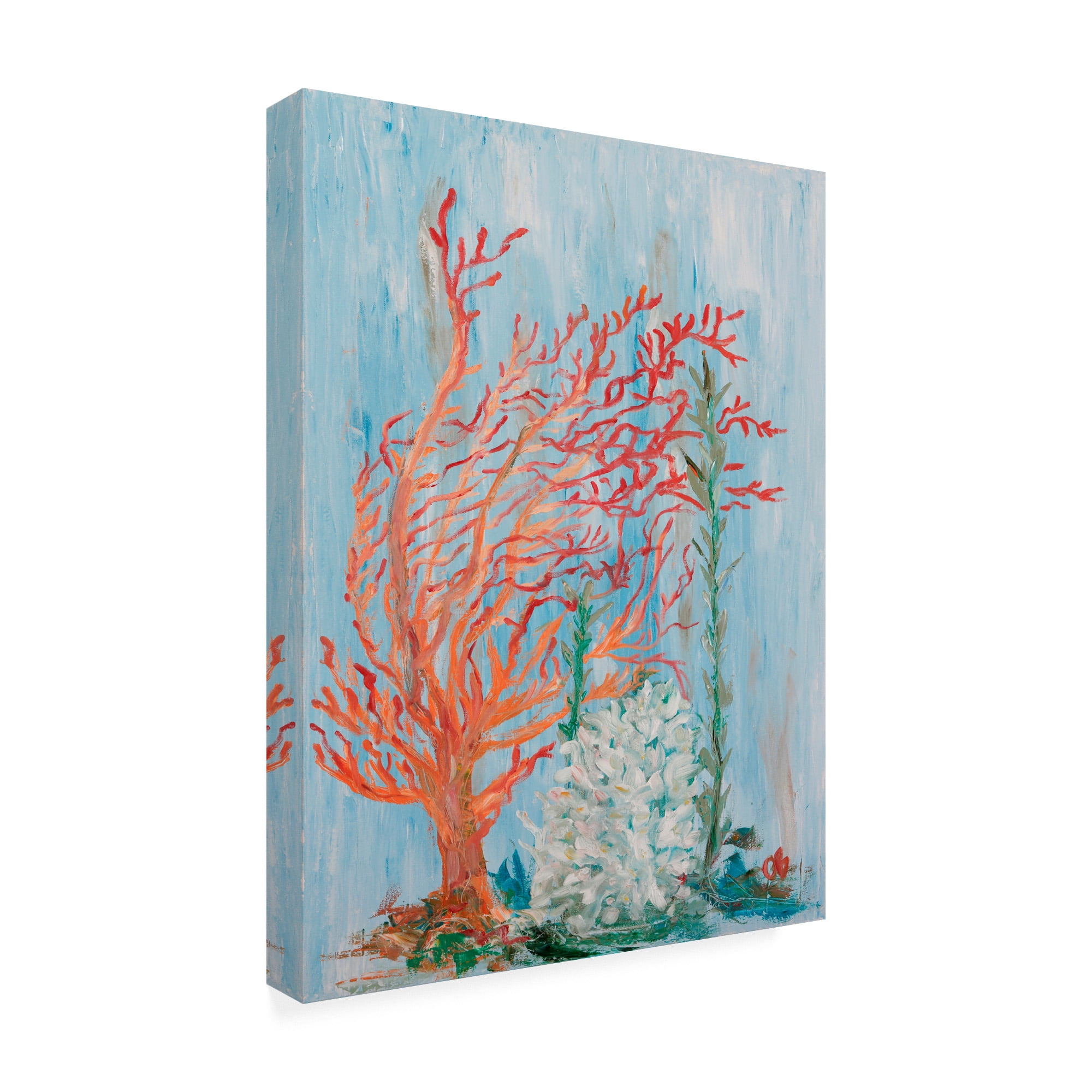 Trademark Fine Art 'Painterly Coral I' Canvas Art by Olivia Brewington