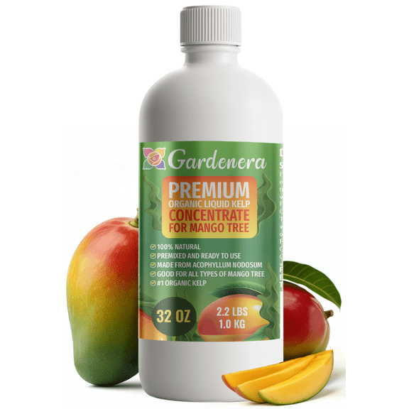 ⭐ GARDENERA Premium Organic Seaweed & Kelp Superfood for MANGO TREES Plants - 32 oz - Liquid Kelp Fertilizer Concentrate (Makes 180 Gallons)
