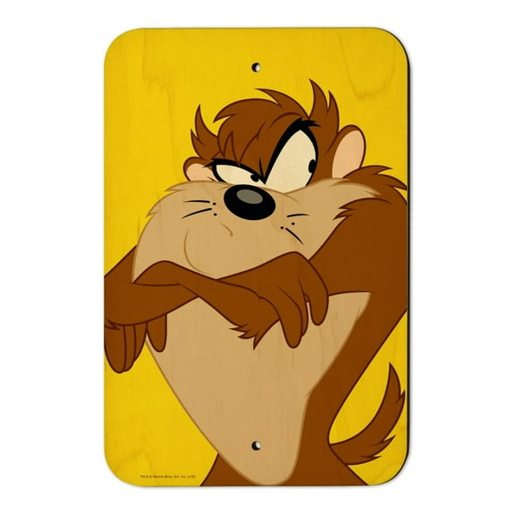 Looney Tunes Taz Home Business Office Sign