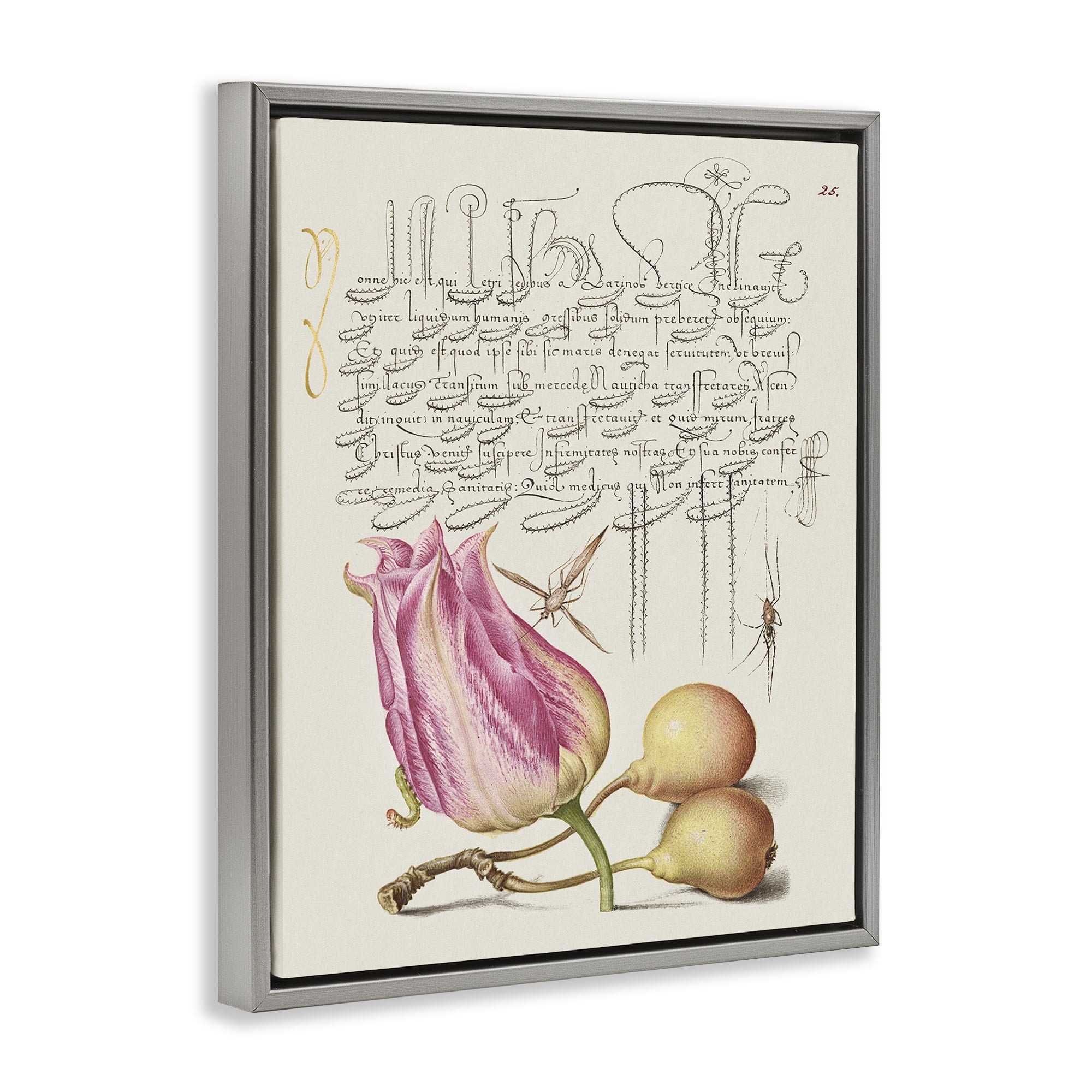 Stupell Industries Budding Lily Vintage Page Text & Numbers Painting Gray Floater Framed Canvas Art Print Wall Art, 25 x 31