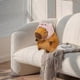 thumbnail image 4 of Plush Capybara Pillow Soft Comfortable Stuffed Toy with Brown Faux Fur Perfect for Children, 4 of 5