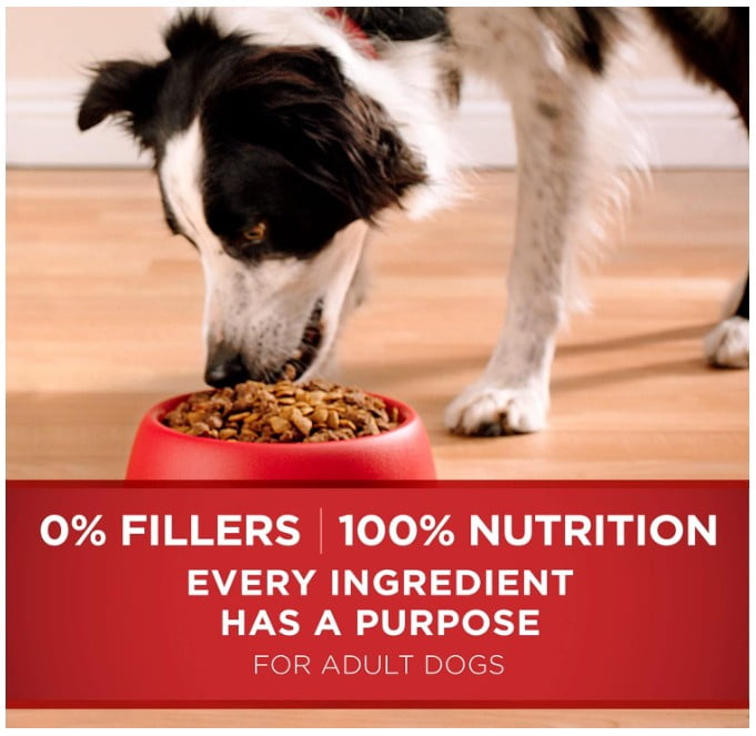 Purina ONE Natural Lamb & Rice Formula Dry Dog Food, 16.5 lb Bag (Pack of 3)