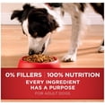 thumbnail image 4 of Purina ONE Natural Lamb & Rice Formula Dry Dog Food, 16.5 lb Bag (Pack of 3), 4 of 6