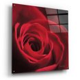 thumbnail image 2 of Epic Art 'The Red Rose I' by Lori Deiter, Acrylic Glass Wall Art, 36"x36", 2 of 8