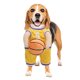 thumbnail image 1 of Disfraz Baloncesto para Perro Con Pelota Halloween (L ) Amarillo, 1 of 9