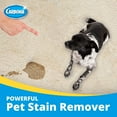 thumbnail image 3 of Carbona Oxy-Powered Pet Stain & Odor Remover w/ Active Foam Technology  22 Fl Oz, 2 Pack, 3 of 6
