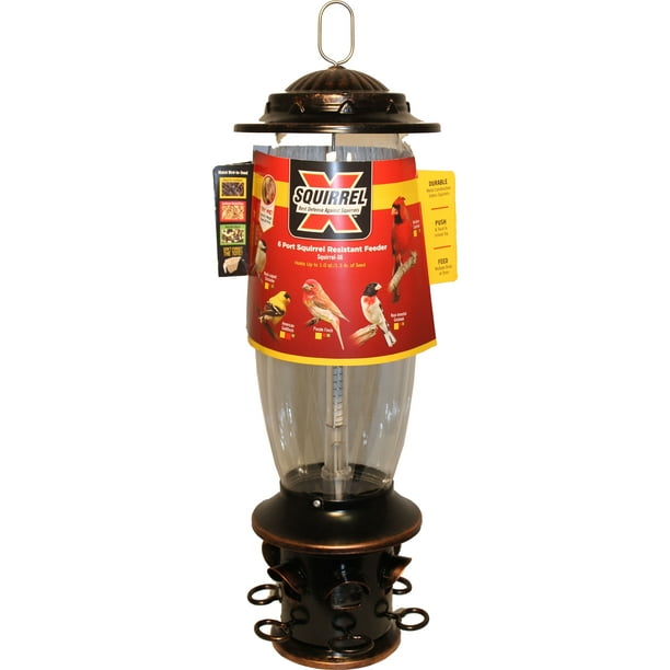 SquirrelX Bird Feeder, 6.1Lb Seed Capacity