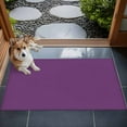 thumbnail image 4 of 2x3 Door Mat Rug, Non-Skid Rubber Backing Large Rectangle Rugs - Living Room Bedroom Home Office, Indoor Floor Mat Carpets Washable Rug, 4 of 9