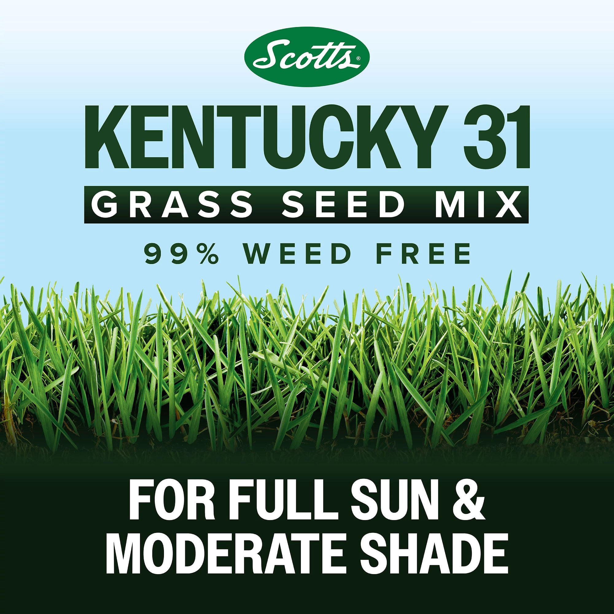 Scotts® Kentucky 31 Grass Seed Mix, For New Lawns or Overseeding, 40 lbs.