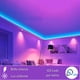 thumbnail image 3 of Tira LED NEÓN morada FLEXIBLE UNICOLOR 5 METROS con conector DOSYU DY-YL08E, 3 of 4