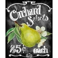 thumbnail image 2 of Art Licensing Studio 15x17 White Modern Wood Framed Museum Art Print Titled - Orchard Selects, 2 of 4