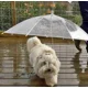 thumbnail image 2 of Paraguas P/perro O Gato Transparente C/cadena 75 Cm Diámetro, 2 of 5