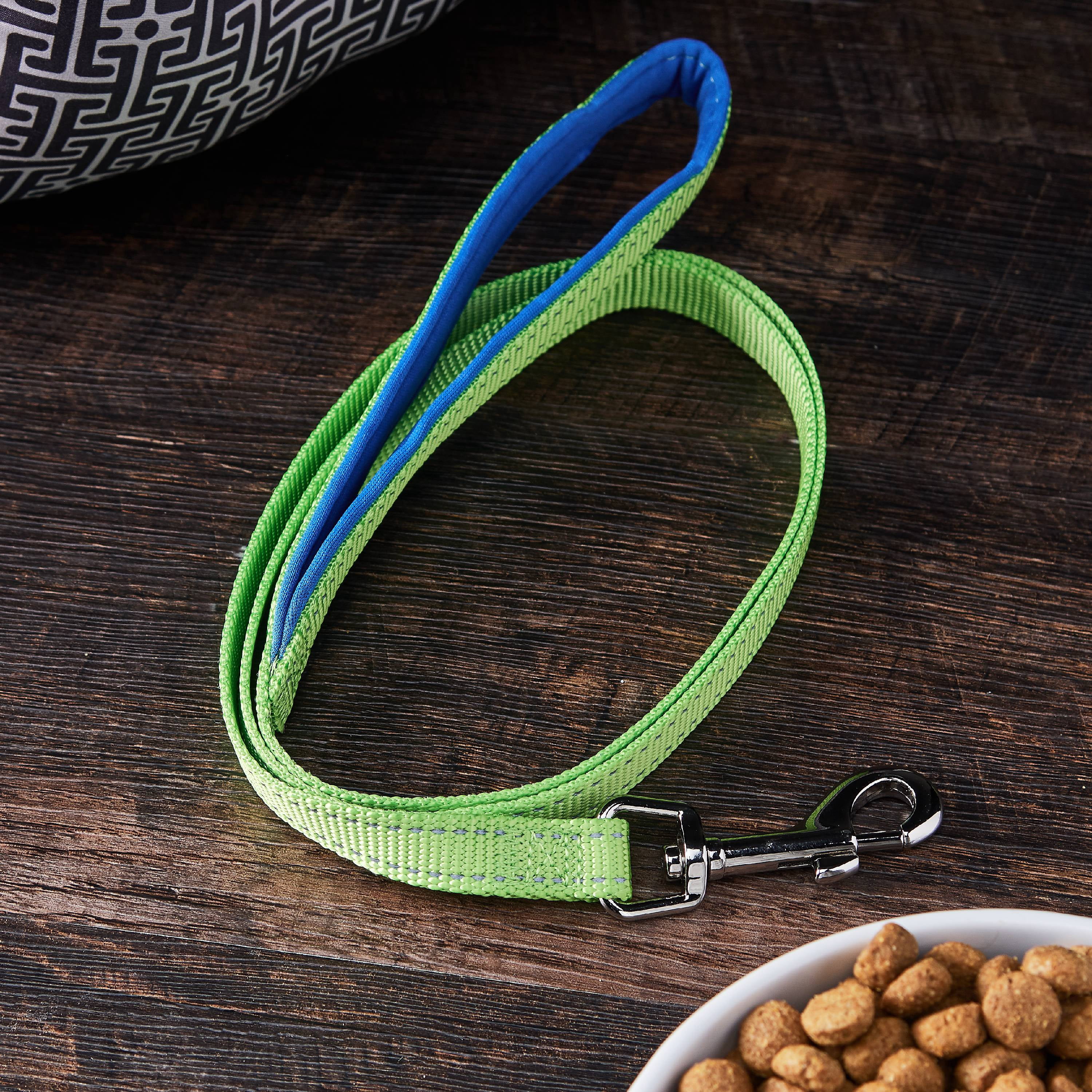 Vibrant Life 4' Nylon Metal Standard Dog Leash, Neon Green, Medium