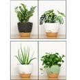 thumbnail image 4 of Wosthever Juego de 5 macetas de plástico para flores, diseñadas para interiores y exteriores, con autorriego. Jardín y Patio B, 4 of 6