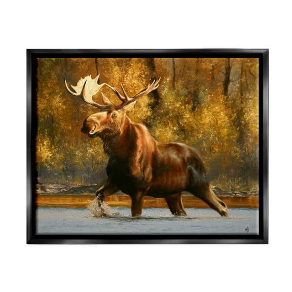 Stupell Industries Moose Stepping River Foliage Animals & Insects Photography Black Floater Framed Art Print Wall Art, 21 x 17