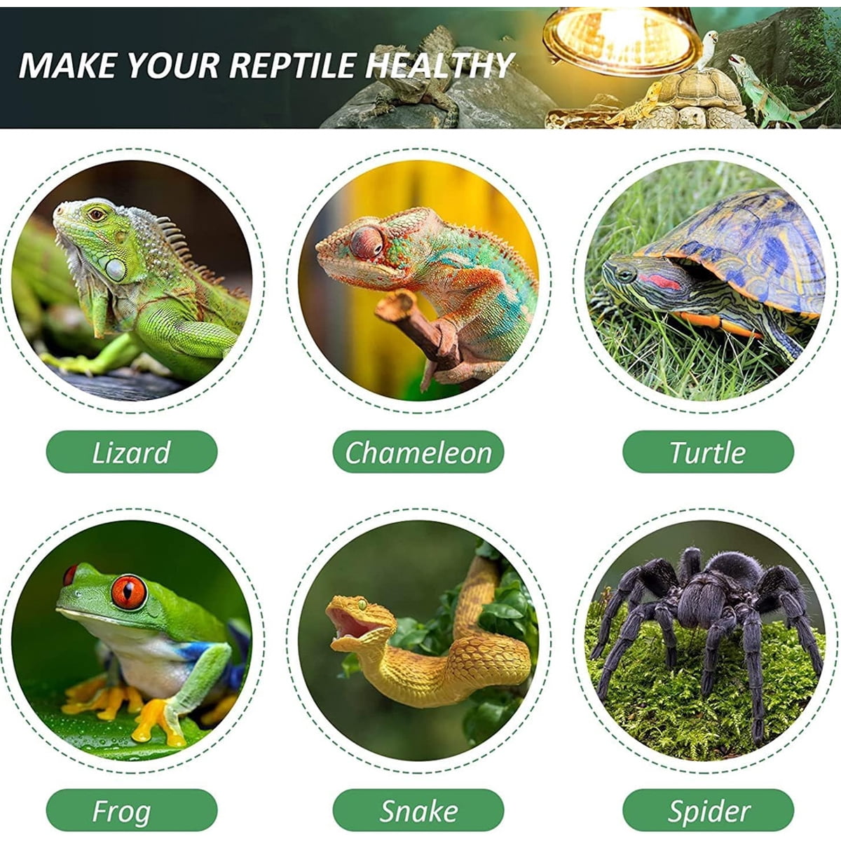 Reptile UVA UVB lamp with Clip-on Bulb Lamp Holder Kit Turtle Basking UV Heating Lamp Bulb Set Tortoises Lizards Light Lighting