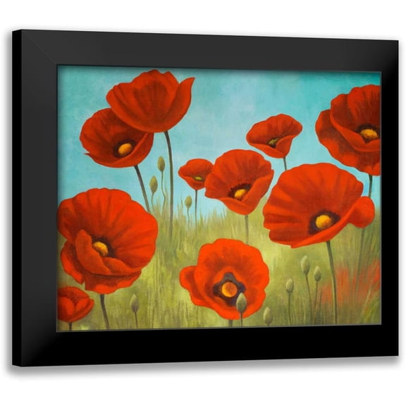 Rhyan, Vivien 14x12 Black Modern Framed Museum Art Print Titled - Field of Poppies II