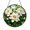 Acrylic 3.5 Inch, variant on Vibrant Lotus and White Lilies Stained Glass Window Hanging, Nature-Themed Home Decor, Gift Idea for Garden Enthusiasts