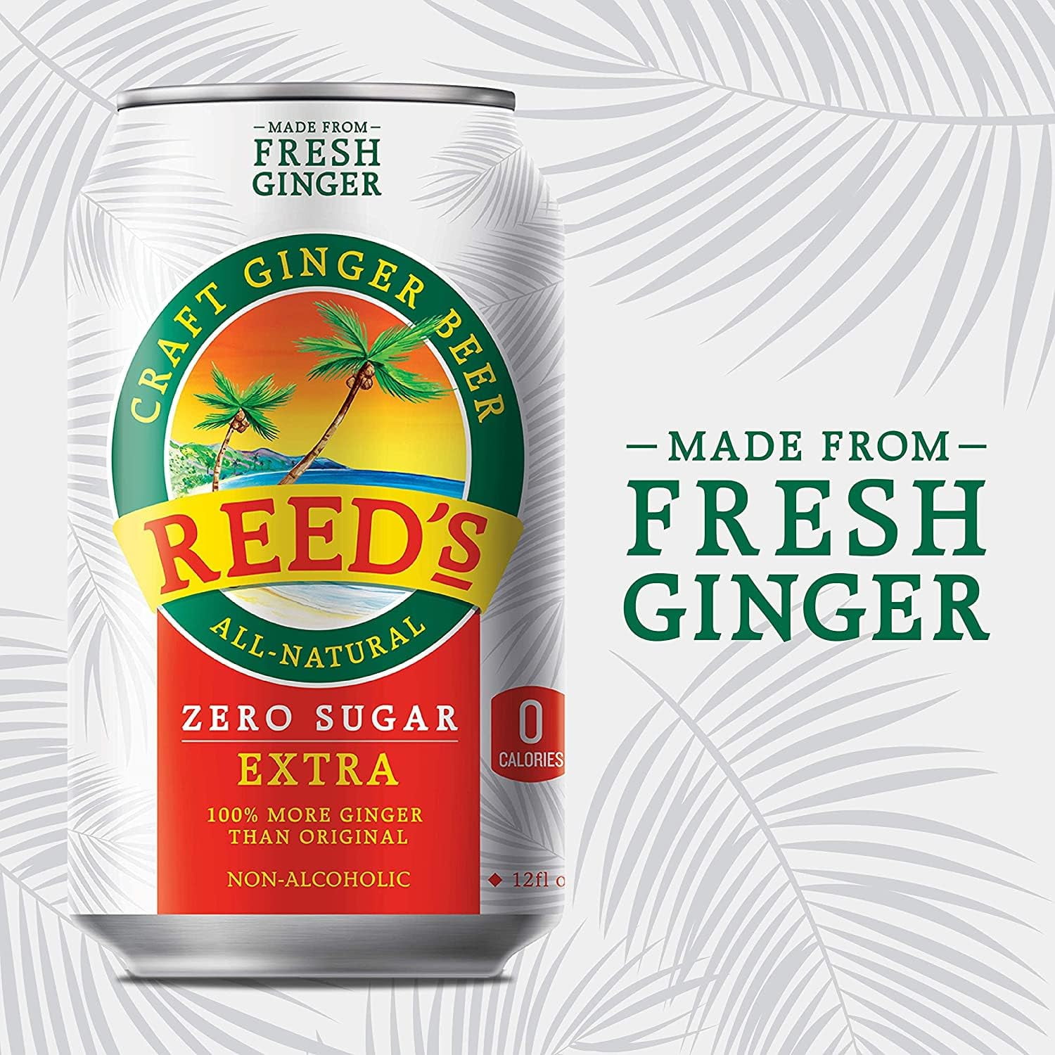 (Pack of 6) Reeds Soda 4-Pack Ginger Extra Zero 48 Fo
