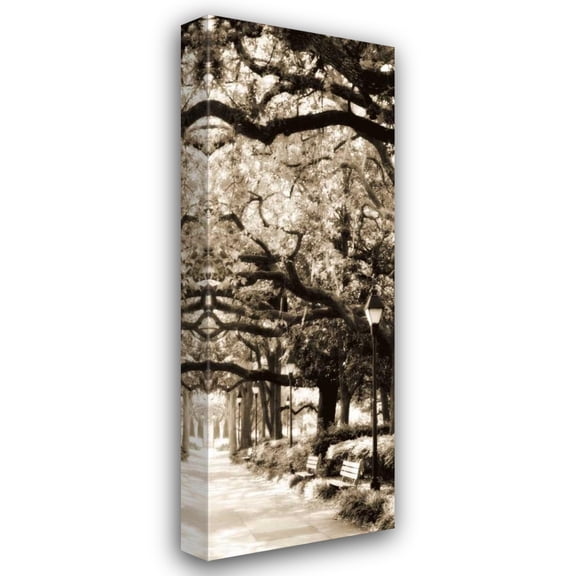 Alan Hausenflock 11x24 Gallery Wrapped Canvas Wall Art Titled - Savannah in Sepia I