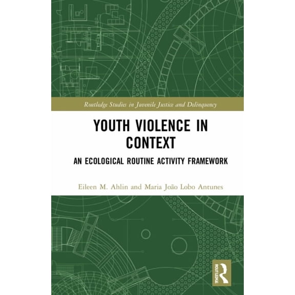 Routledge Studies in Juvenile Justice an Youth Violence in Context: An Ecological Routine Activity Framework, (Hardcover)