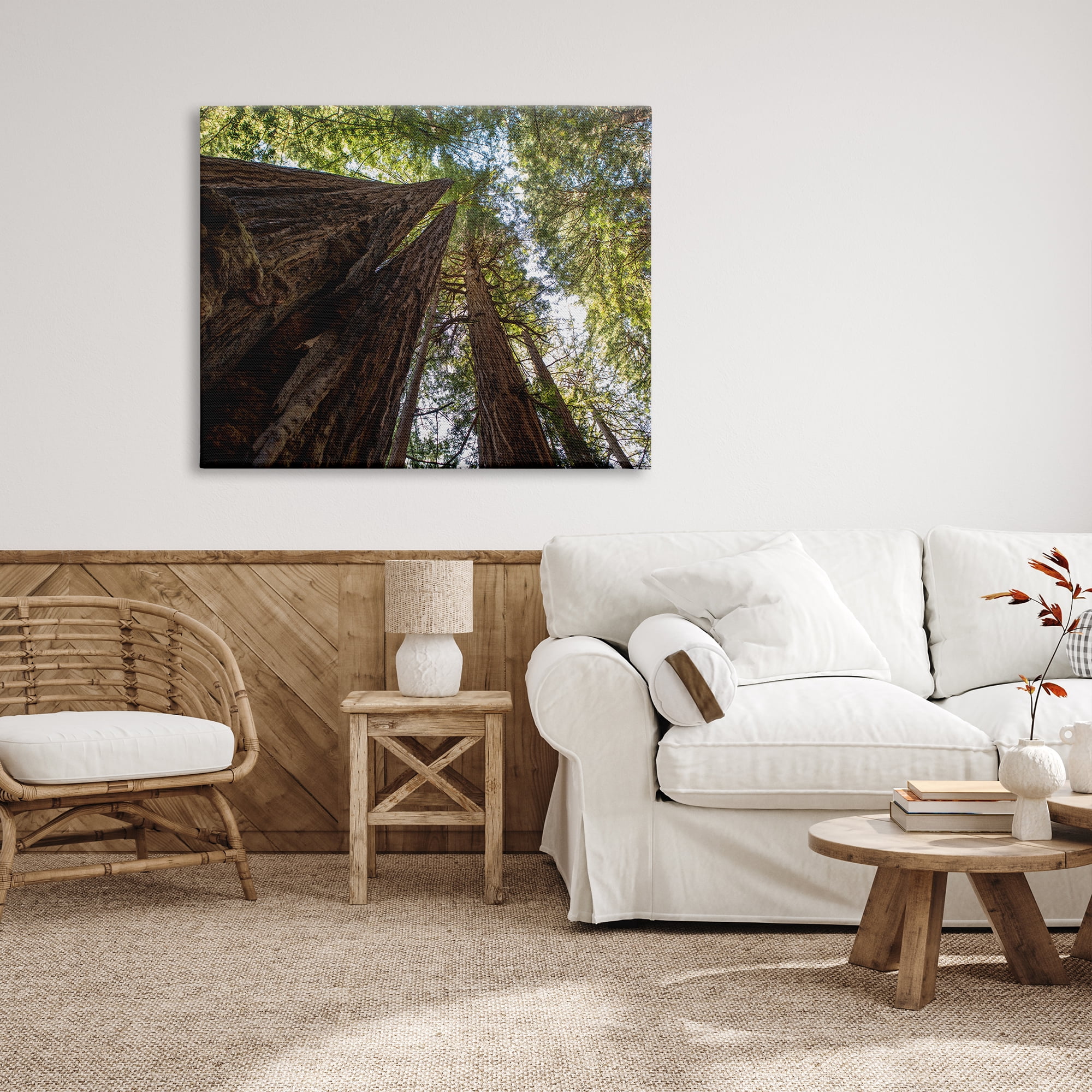 Stupell Indtries Tall Trees Looking Upwards Nature Forest Photography,48 x 36,Design by Aaron Matheson