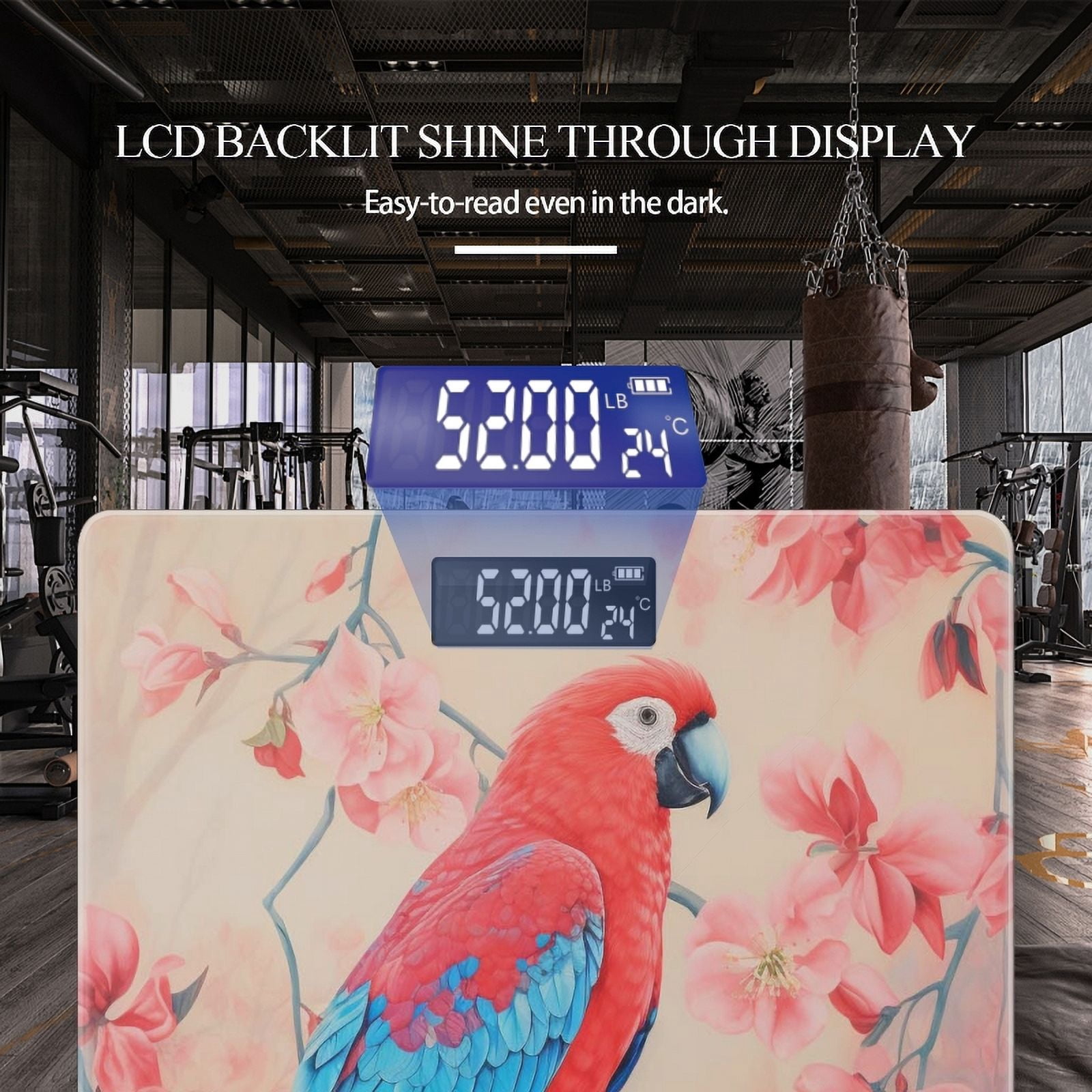 High Precision Body Weight Scale Smart Bathroom Scales with Large LCD Display(400lbs),Decorative for Bedroom-Red Parrot Sitting On The Branch Of Blooming Tree