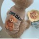 thumbnail image 5 of Otoño e invierno, osito de peluche cálido de seda de leche, lindo perro, gato, mascota, oso amargo, ropa, suministros para padres e hijos, 5 of 5