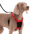 thumbnail image 4 of (2 pack) Yuppie Puppy Nylon Mesh Non-Pulling Dog Harness, Red, L/XL (22" to 36" Chest Size), 4 of 9