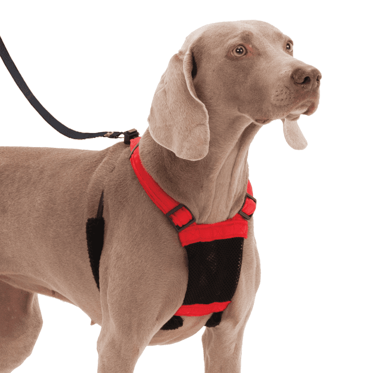 YUPPY 2 pack) Yuppie Puppy Nylon Mesh Non-Pulling Dog Harness, Red, L/XL