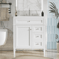 thumbnail image 2 of Euroco 30'' Bathroom Vanity with Top Sink, Modern Bathroom Storage Cabinet with 2 Drawers and a Tip-out Drawer, Single Sink Bathroom Vanity (Same as SW000122AAK-1), 2 of 7