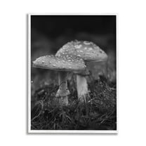 Stupell Industries Grey Mushroom Photography Botanical & Floral Photography White Framed Art Print Wall Art, 24 x 30