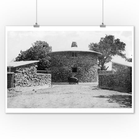 Pig Line Art Glen Ellen, California - Jack London Ranch Pig Pen View (9x12 Art Print, Wall Decor Travel Poster) ()