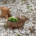 thumbnail image 5 of Zeckos Flying Wiener Dog Planter 18" Brown, With Drain Hole, Rustic Garden Decor, 5 of 11